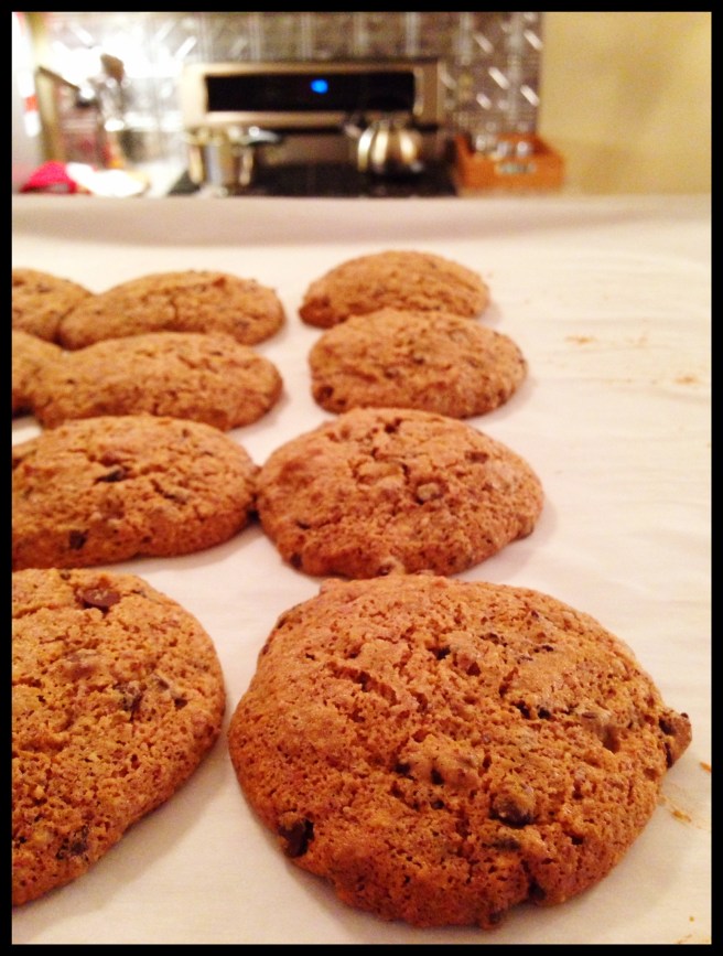 paleo chocolate chip cookies