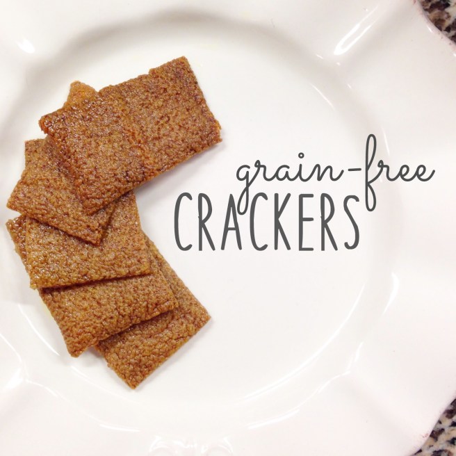 3.28.14 grain free crackers