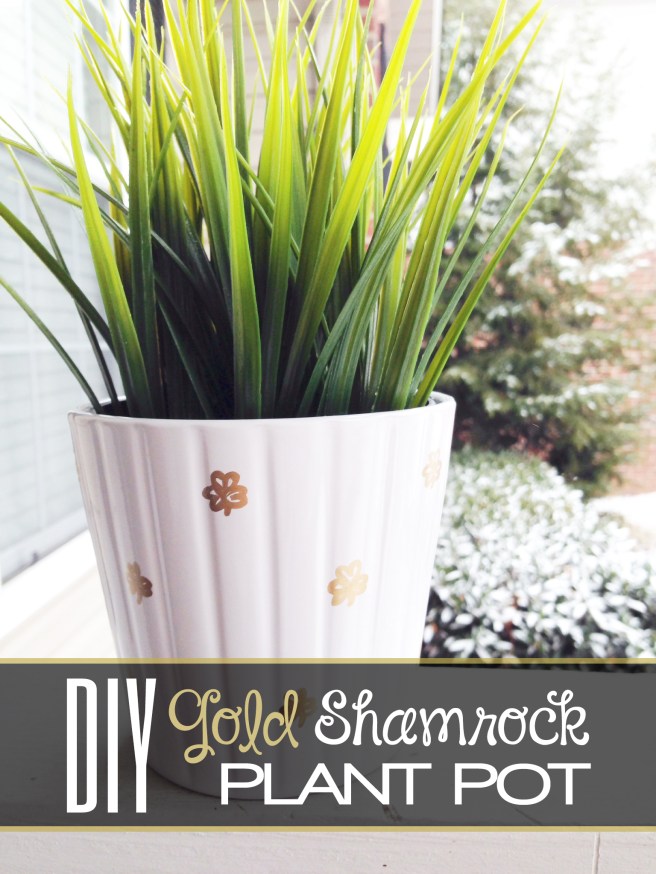 3.4.14 gold shamrock plant pot