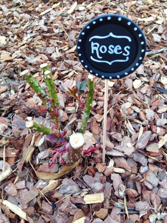 diy chalkboard garden markers