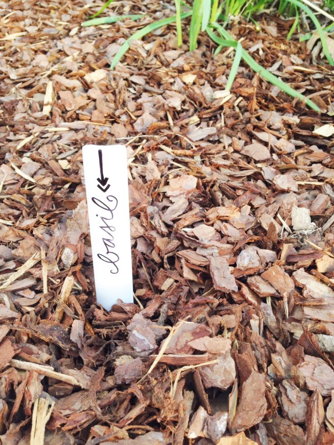 diy herb garden markers