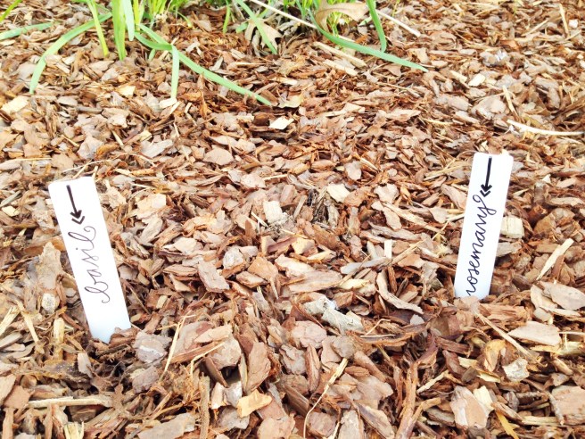 diy herb garden markers