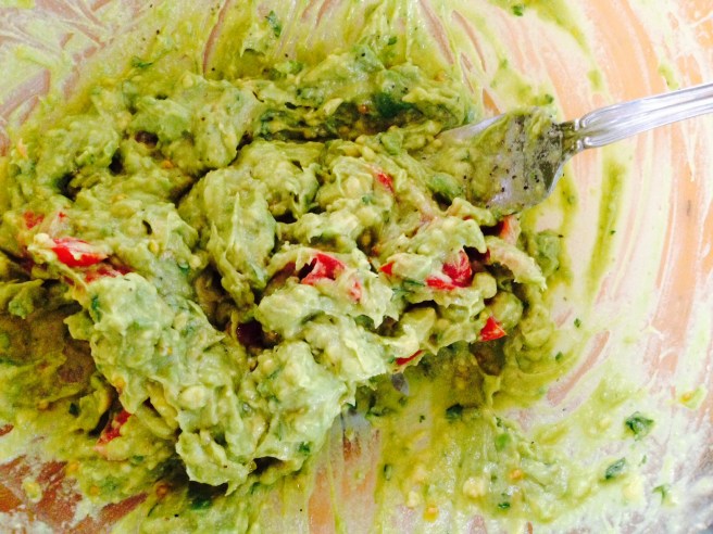 casa de aguas guacamole